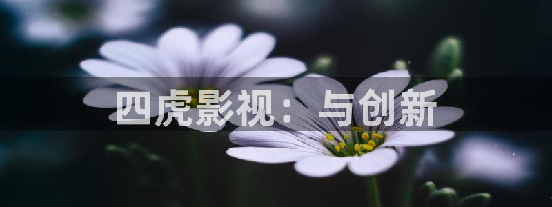 在线观看丝瓜视频：四虎影视：与创新