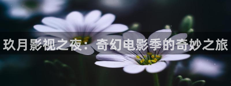 丝瓜视频绿巨人：玖月影视之夜：奇幻电影季的奇妙之旅
