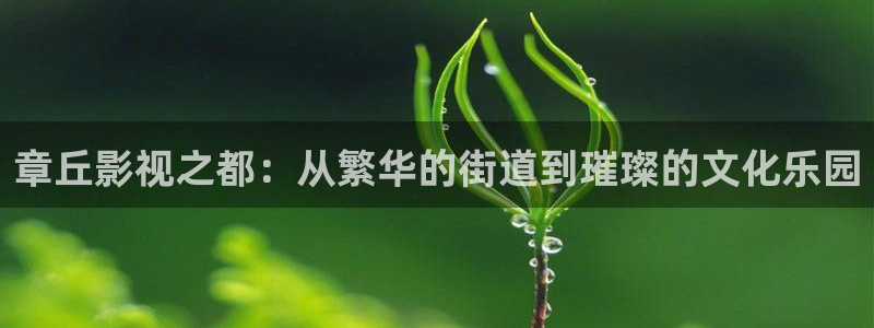 丝瓜视频破解版：章丘影视之都：从繁华的街道到璀璨的文化乐园