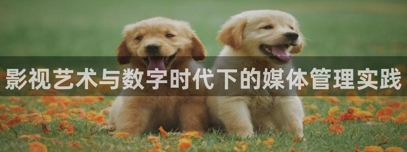 丝瓜小视频.：影视艺术与数字时代下的媒体管理实践