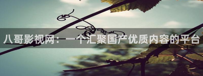 免费下载丝瓜视频：八哥影视网：一个汇聚国产优质内容的平台