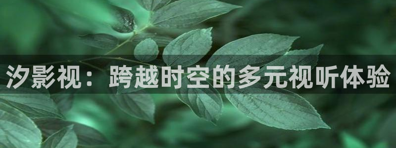丝瓜视频在线观看免费观看：汐影视：跨越时空的多元视听体验